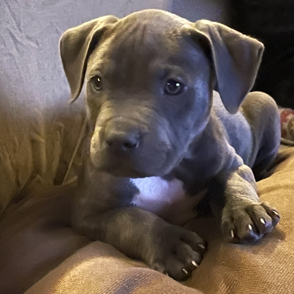 Meet your Posher, Rachael